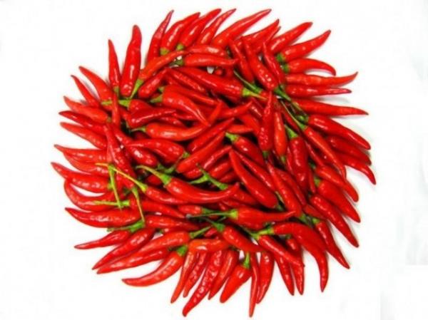 <b>Krmz pul biber:</b> Metabolizmay hzlandran ac biber, vcut ssn artrd iin k aylarnda olmazsa olmaz besinlerden biri.