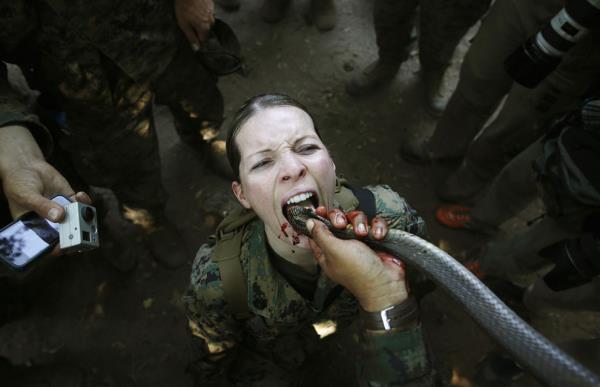 <b>te 2013'n En Mehur Hayvanlar</b>