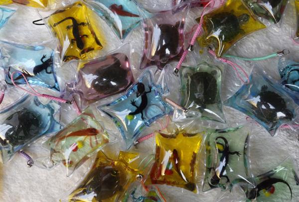 <b>te 2013'n En Mehur Hayvanlar</b>