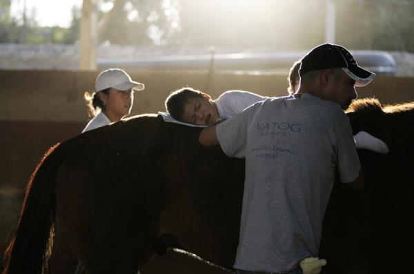 <b>te 2013'n En Mehur Hayvanlar</b>