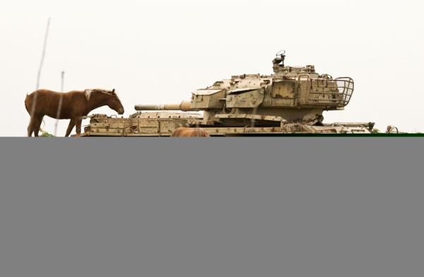 <b>te 2013'n En Mehur Hayvanlar</b>