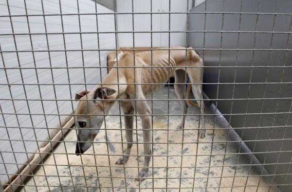 <b>Bulunduunda alktan lmek zereydi.</b>