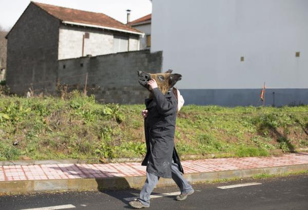 <b>te 2013'n En Mehur Hayvanlar</b>