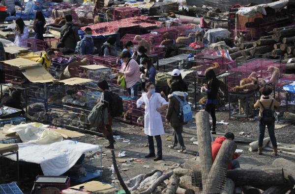 <b>in'de bir hayvan pazar...</b>