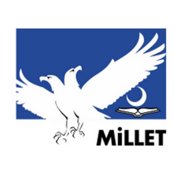 Millet Partisi