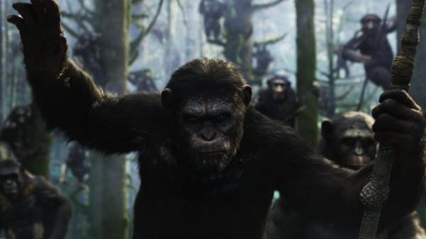 Dawn Of The Planet Of The Apes
