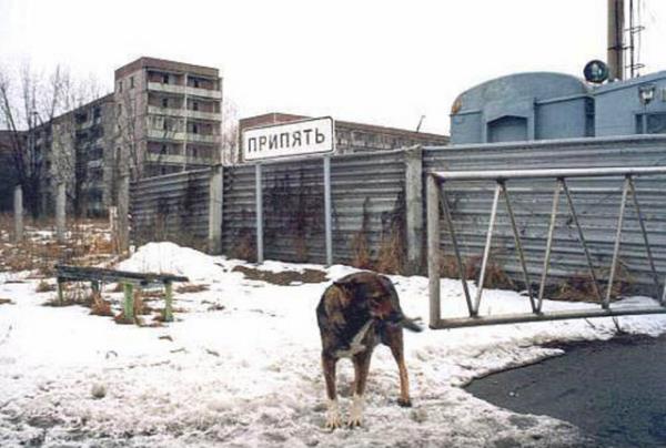 7,1 milyon insann gelecekte ciddi salk sorunlar yaamas bekleniliyor.