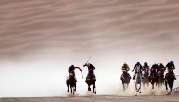 Liwa'da gerekleitirilen festival srasnda jokeyler, safkan Arap atlar zerinde yaryor. Arap Emirlikleri'nin kltrn tantmak iin dzenlenen festival, krfez lkelerinden gelen katlmclar tarafndan byk ilgi gryor. Birleik Arap Emirlikleri