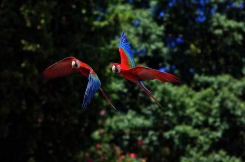 Doa ile hayvanlar aleminin en masum ve baklas kareleri...