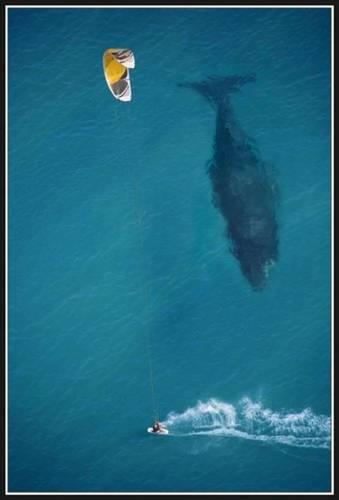 Doa ile hayvanlar aleminin en masum ve baklas kareleri...