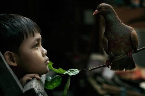 Doa ile hayvanlar aleminin en masum ve baklas kareleri...
