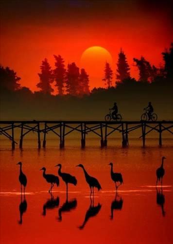 Doa ile hayvanlar aleminin en masum ve baklas kareleri...