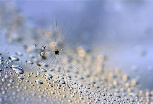 Doa ile hayvanlar aleminin en masum ve baklas kareleri...