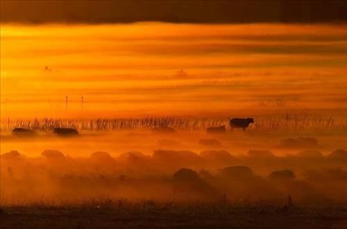 Doa ile hayvanlar aleminin en masum ve baklas kareleri...