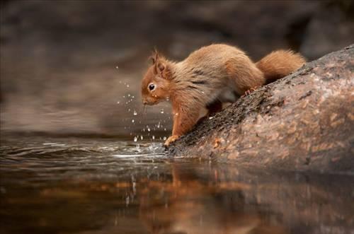 Doa ile hayvanlar aleminin en masum ve baklas kareleri...