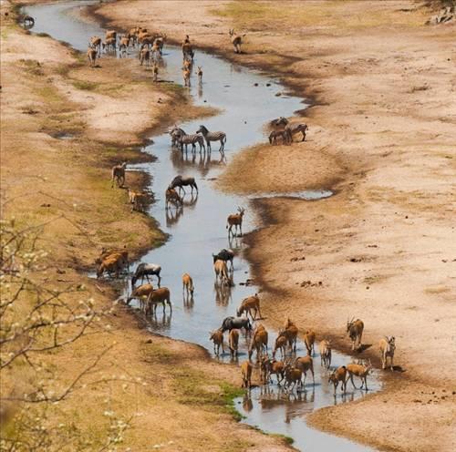Doa ile hayvanlar aleminin en masum ve baklas kareleri...