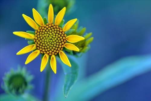 Doa ile hayvanlar aleminin en masum ve baklas kareleri...