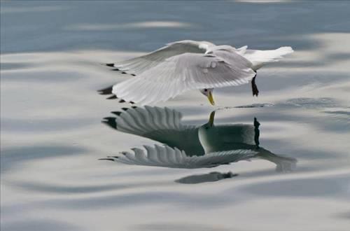 Doa ile hayvanlar aleminin en masum ve baklas kareleri...