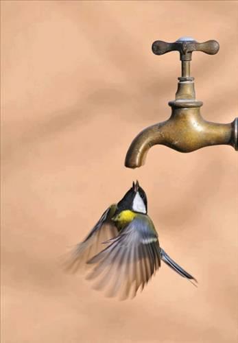 Doa ile hayvanlar aleminin en masum ve baklas kareleri...