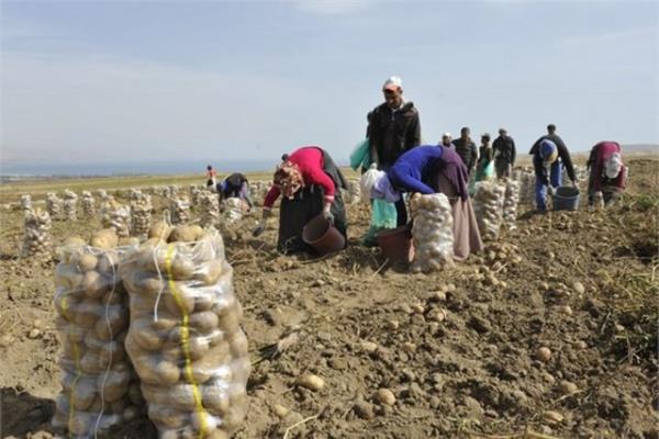 <p><b>Patates</b></p>  stanbul'da 1 kilo patatesin fiyat 2,74 lira.