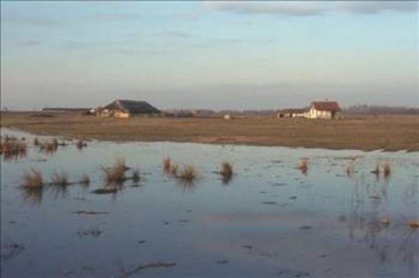 Rasputin, ldrlmek zere iken siyanr imitir, ancak zehir onda hi etik etmeyince dmanlar onu defalarca vurmutur.