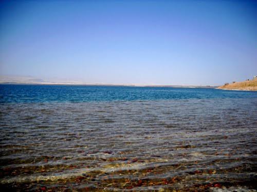 <p><b>"Lut Glne neden "l deniz" denir?"</b></p>   rdn-srail arasndaki bu gl deniz seviyesinin 394 metre aasnda olup yzlm 920 km'dir. % 26'lk oranyla bu gldeki tuzluluk okyanuslardakinden tam alt kat fazladr. te bu olaanst tuzluluk nedeniyle sularnda baz bakteri tr dnda hibir canl yaayamaz. Bu nedenle Lut Glne "l deniz"de denilmektedir.