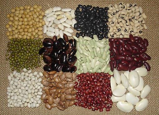 <p><b>"Neden kuru fasulye gibi baklagiller gaz yapar?"</b></p>   Sindirim enzimlerimizin yetersiz kald besinler, kaln barsamzdaki simbiyont bakteriler tarafndan paralanrlar. Bu ilem srasnda da barsak gazn oluturan gazlar aa kar. Baklagillerde bulunan oligosakkaritlerin sindirimi iin enzimlerimiz yetersiz kald iin, bu besinler yendiinde barsaklarda normalden daha fazla gaz oluur.