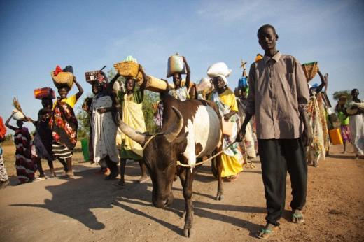 <p><b>38-Sudan </b></p>    2013 n�fusu 34,78 milyon     <p>D�nyadaki pay� (Y�zde) 0,5</p>