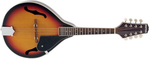 <p><b>MANDOLN:</b></p>  60`larda ve 70`lerde ilkokul ocuklarna almalar iin zorla dayattrlan bu talyan algs, nedense ocuklar tarafndan pek sevilmezdi. Okullarda retici kurslar dahi alr, btn krtasiyelerde, kapanda alg alan bir kz ve bir erkek ocuu resmi olan mandolin metod kitaplar satlrd. Aylarca sren bir kurs dnemi sonunda mzik kulaklar pek de gelimemi, ancak ebeveynlerinin basksna kar gelememi bu yeni yetmeler, okulun salonunda bir de konser verirlerdi. Repertuarlar da,  ile be arasnda deien basit okul arklarndan teekkl ederdi. Doru notay karmas olduka g ve beceri isteyen, gerili 4 ift telden oluan, penayla alnan mandolinlerin bu gen penalar, tremolo (seri vuru) esnasnda hep krlr, grev salam olan keye devredilir, her  taraf da krlana kadar kullanlrd. Kurs sona erdiinde ocuklar tarafndan genellikle arkalar evrilerek darbuka olarak kullanlan (ileri bo olduundan, vurulduunda baya da gzel de ses karan) ve normal yzlerinden alndnda sazla buzuki aras bir ses veren mandolinlerin ses perdeleri de olduka geni saylrd. 80`lerde okullarda blok flt modas ba gsterince mandolinler de tamamyla gzden dtler.