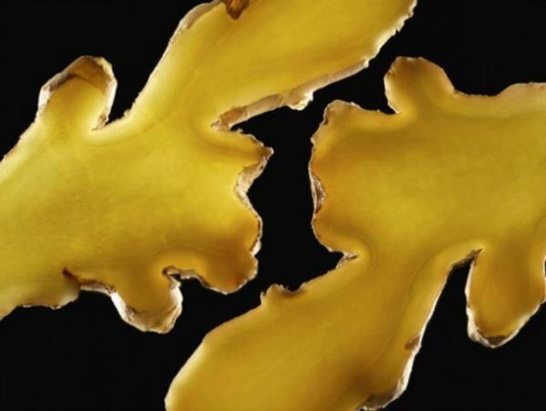 Zencefil (Endonezya) - Kolesterol ve Trigliserit yksekliine kar kullanlyor