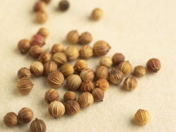 Kini (MISIR) - Gda zehirlenmesine kar birebir zm olarak kullanlyor