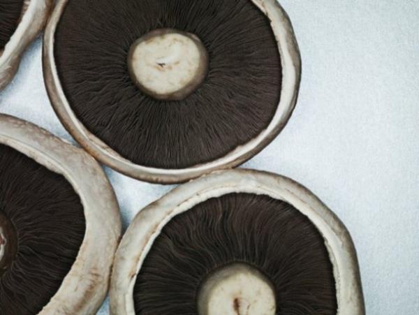 Mantar (Japonya) - Kolestrol dengede tutmak amacyla kullanlyor