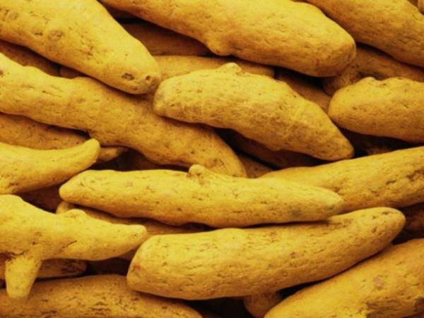 Zerdeal (Hindistan) - Kan ekerini dengelemek amacyla kullanlyor