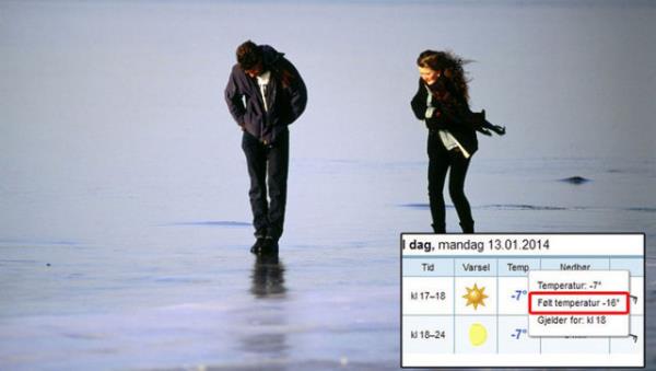 Norveli Ingolf Kristinsen, Nordland blgesinde, Lovund kyalarnda gezerken binlerce baln denizde donduunu grd.