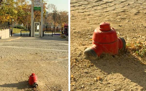 Dnya zerinde sadece Ankarada bulunan ve ulusal kltr miras listesindeki ender bitkiler arasnda olan Yangn Musluu bitkisi Genlik Park giriinde koruma altnda.
