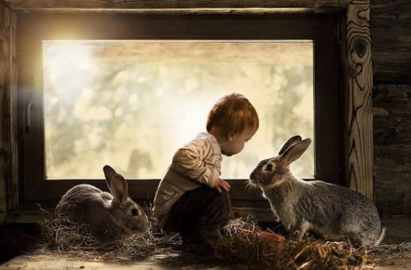 Elena umilova, 2012 ylndan beri oullar Yaroslav ve Vanya'nn fotoraflarn ekiyor.