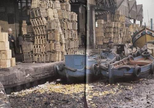 Halin kys sanki sebze tarlas.. Yl 1975 Eminn ? Unkapan aras...