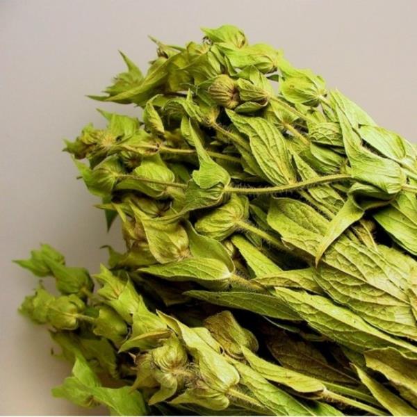 Ada ay Antiseptik ve antibiyotik zellii vardr.