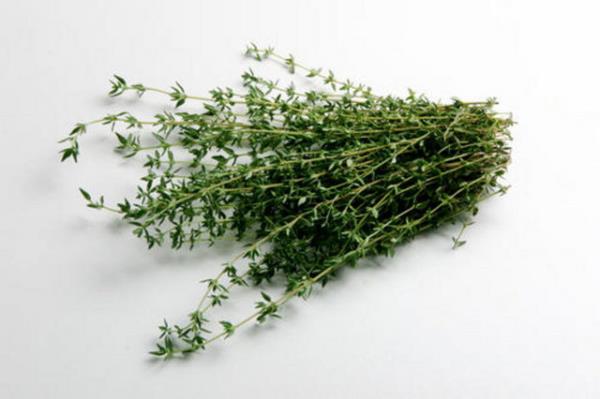 Kekik Mide kaslarnn rahatlamasn salar.