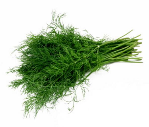 Dere otu Mide yanmas, kolik ve gazn giderilmesine yardm eder.