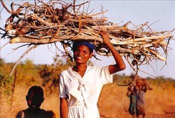 Zimbabwe'deki kadnlar iinse 43.6 yl yaamak yeterli.