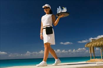  sahasnda en fazla alan olan yer Cayman Adalar. Adann yzde 67.7'si alyor.