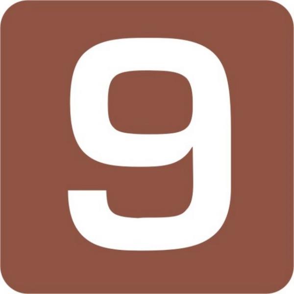 Bir seviyeden dierine gei rakam olan 9, bir dnyadan dierine gei olan inisiyasyonun sembol ayn zamand. Ezoterizmin kutsal rakam saylyor.