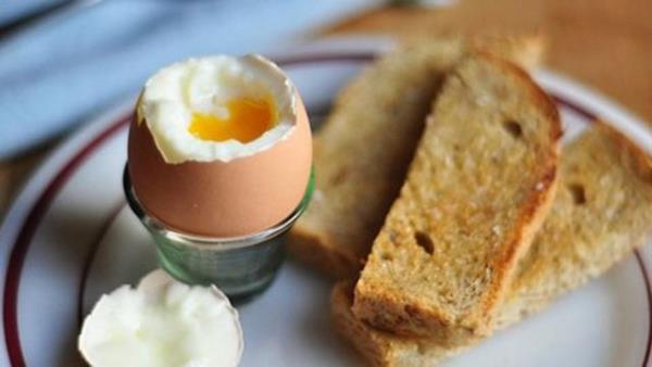 Sindirilebilirlii yksektir, tamamna yakn vcut tarafndan kullanlmakta ve vcut proteinlerine dnebilmektedir.