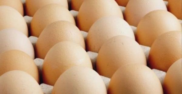 Yumurta tahl grubundaki besinler ile tketildiinde (rnein; makarnaya krlrsa, breklerde kullanlrsa vb.) protein kalitesini arttrm oluruz.