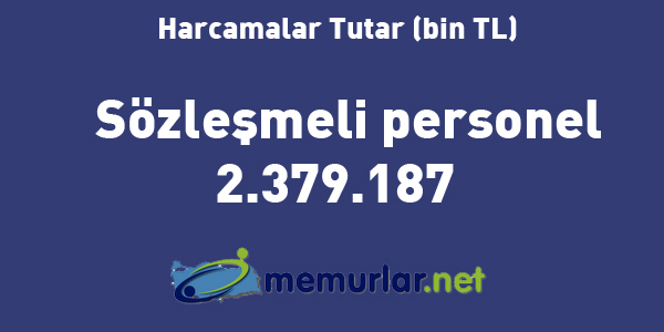 Maliye Bakanl��� verilerine g�re, 2013 y�l�nda yap�lan toplam 396 milyar 910 milyon 97 bin lira tutar�ndaki b�t�e harcamas� i�inde en y�ksek kalemi 83 milyar 366 milyon 78 bin lira ile personel harcamalar� olu�turdu. Personel harcamalar�n�n yakla��k 31,3 milyar liral�k b�l�m�n� memurlar�n temel maa�lar�, 32,5 milyar liral�k b�l�m�n� zam ve tazminatlar, 6,6 milyar liral�k b�l�m�n� ek �al��ma kar��l�klar� ve 3,1 milyar liral�k b�l�m�n� de sosyal haklar olu�turdu.