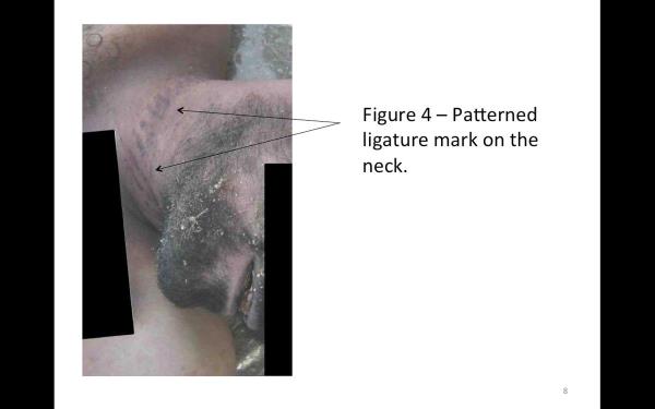 �al��ma arkada�lar�yla iki y�lda 55 bin kare foto�raf �eken askeri polis, sistematik i�kenceyle �ld�rme politikas�na dayanamayarak Suriyeli muhaliflerle gizlice irtibat kurdu. Askeri polis, iki y�l boyunca �ekilen foto�raflar� d�zenli olarak bir fla� belle�e kaydetti ve gizlice muhaliflere verdi.