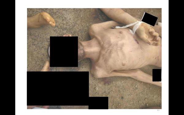 Komisyon 55 bin foto�raftan 26 binini inceledi. Foto�raftaki ki�ilerin, sistematik i�kenceye tabi tutuldu�u, kurbanlara elleri ve ayaklar� ba�l�yken i�kence yap�ld���, tel, ip ve hatta ara�lardaki "triger kay���"na benzer cisimlerle bo�uldu�u inceleme sonunda tespit edildi.