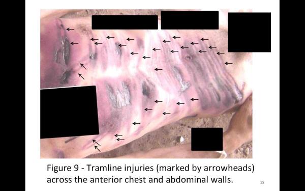 "Caesar" �al��ma arkada�lar�yla, �lkesinde ya�anan i� sava�ta, rejim taraf�ndan insanl��a kar�� i�lenen su�lar� 55 bin kare foto�rafla belgeledi. Gelecekte ad�ndan �ok s�z edilecek bir �ahit olarak, �zel Soru�turma Komisyonu'na tan�k oldu�u t�m detaylar� anlatt�. Komisyon raporunda, askeri polisin takma ad�ndan ve mesle�inden ba�ka hi�bir bilgiye verilmedi.