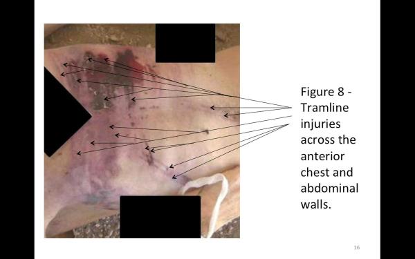 Bu delillerin Esed rejimine kar��, "insanl��a kar�� su�" ve "sava� su�lar�" i�in a��lacak davalarda "g��l� deliller" oldu�una karar veren Komisyon, �al��malar�n� bir rapor haline getirdi. Rapor t�m Komisyon �yeleri taraf�ndan imzaland�.